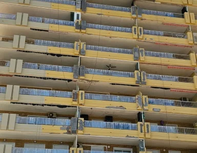 346639044_779188027194477_4496340253655205604_n (1) - copia